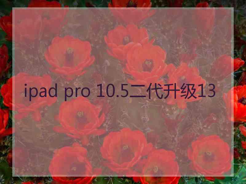 ipad pro 10.5二代升级13