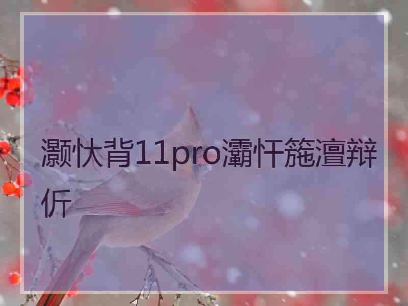 灏忕背11pro灞忓箷澶辩伒