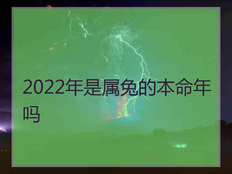 2022年是属兔的本命年吗