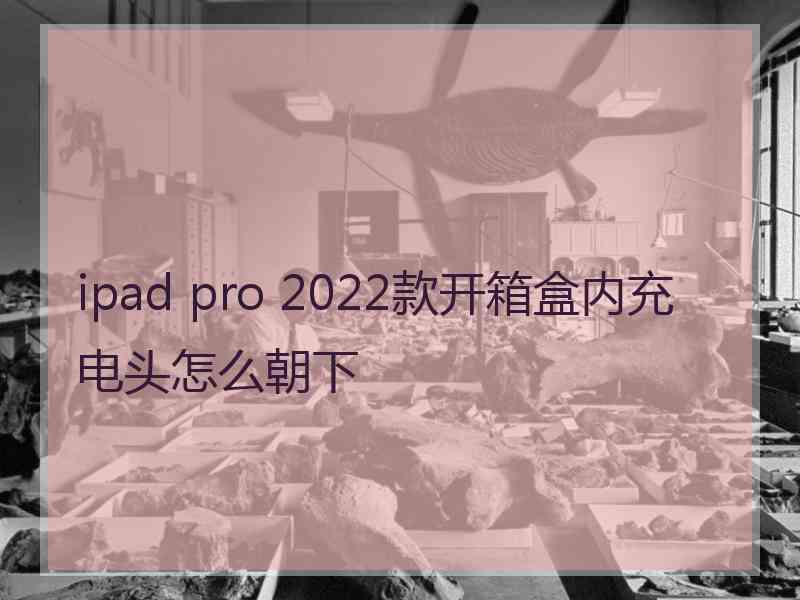 ipad pro 2022款开箱盒内充电头怎么朝下