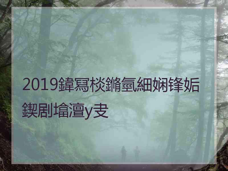 2019鍏冩棪鏅氫細娴锋姤鍥剧墖澶у叏