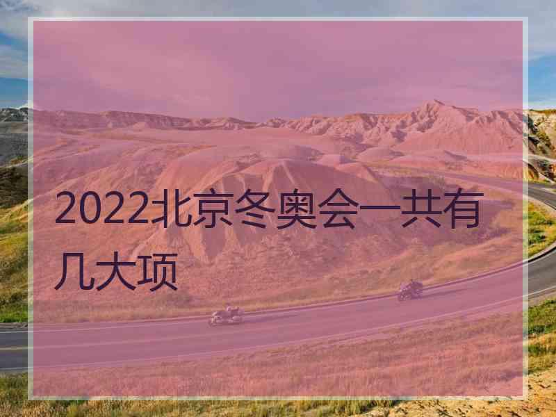 2022北京冬奥会一共有几大项