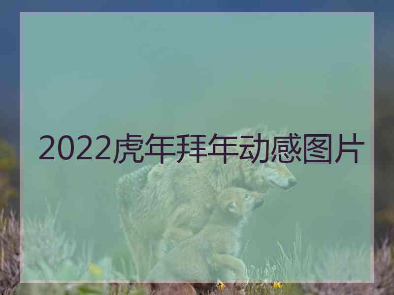 2022虎年拜年动感图片