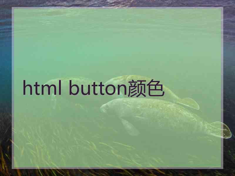 html button颜色