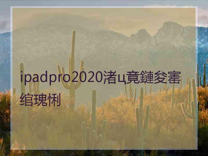 ipadpro2020渚ц竟鏈夋寚绾瑰悧