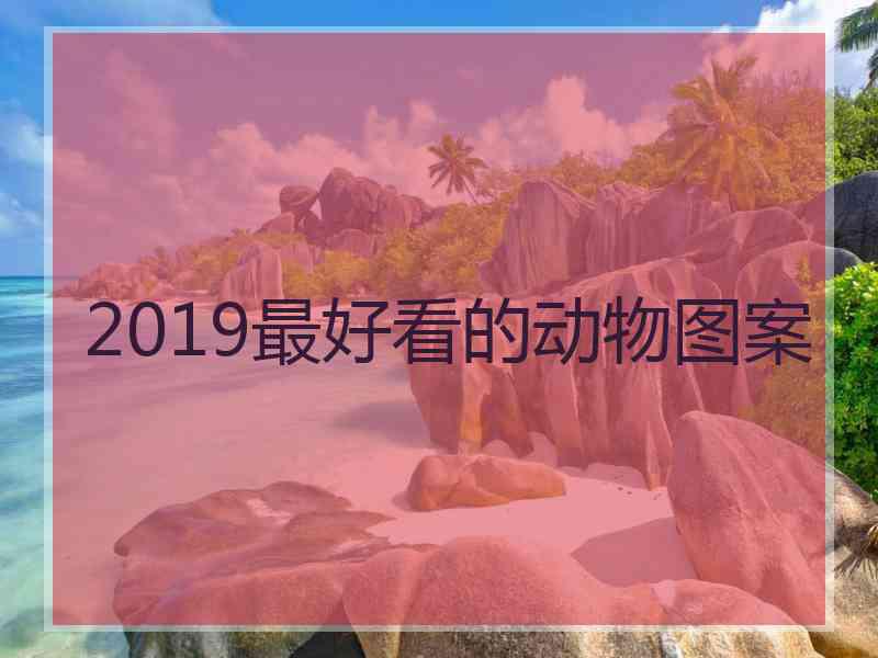 2019最好看的动物图案