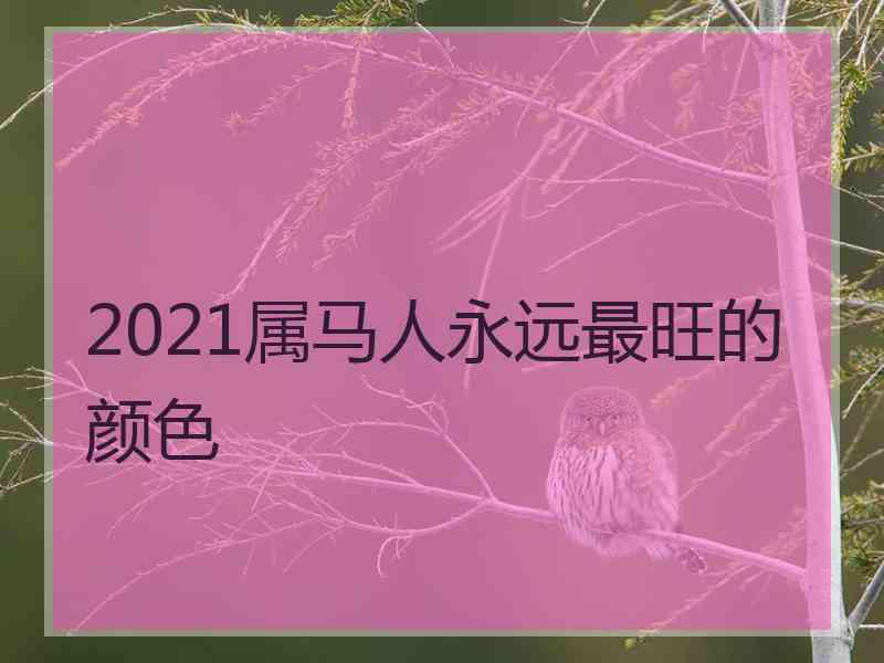 2021属马人永远最旺的颜色