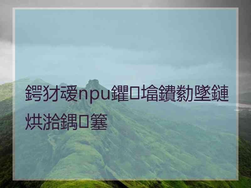 鍔犲叆npu鑺墖鐨勬墜鏈烘湁鍝簺