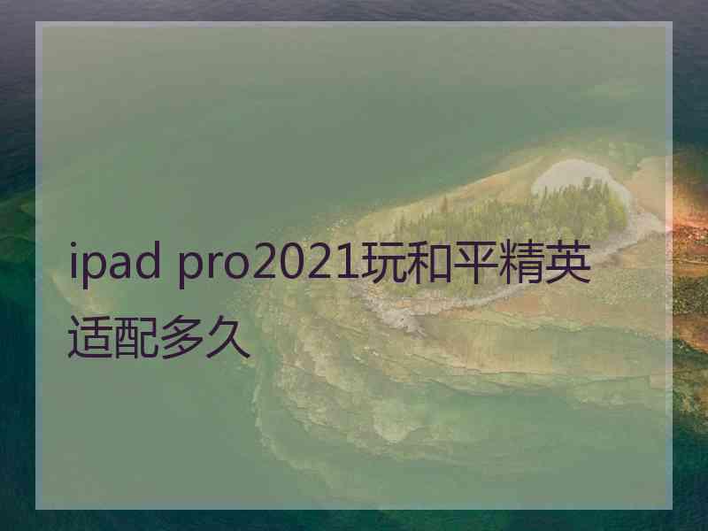 ipad pro2021玩和平精英适配多久