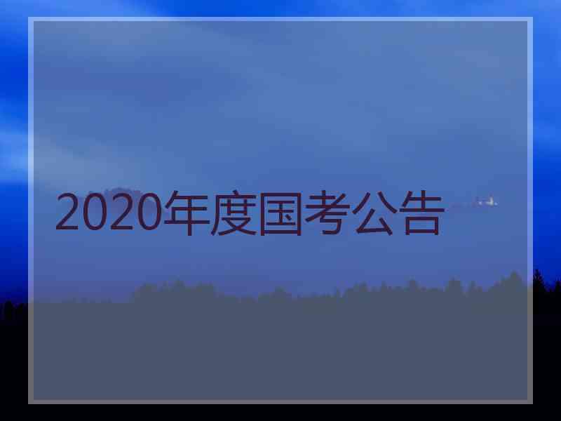 2020年度国考公告