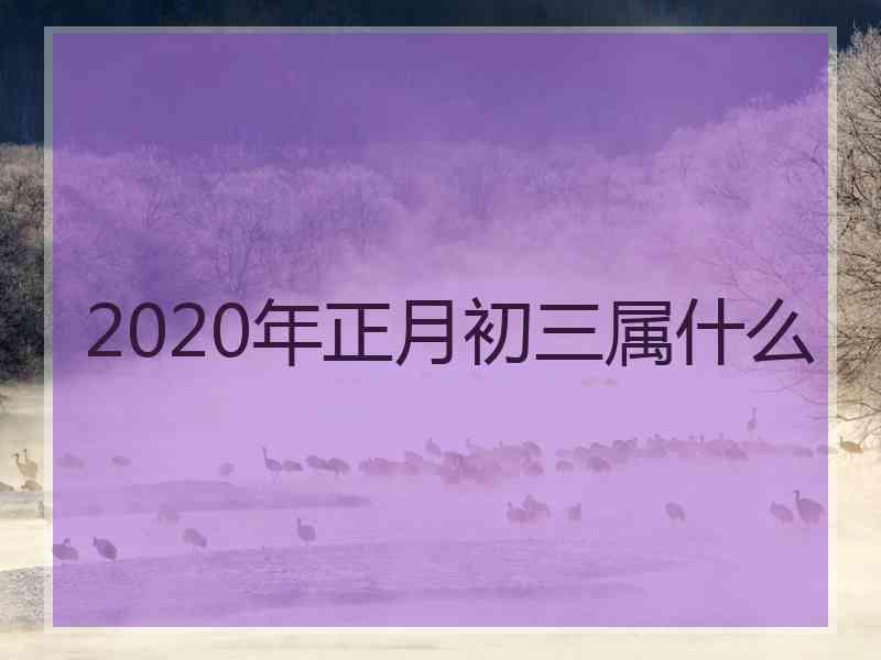 2020年正月初三属什么