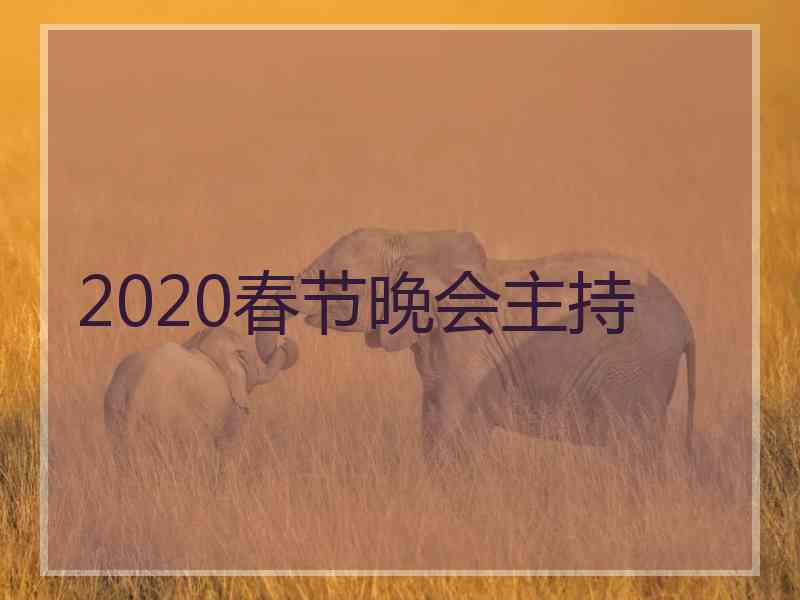 2020春节晚会主持