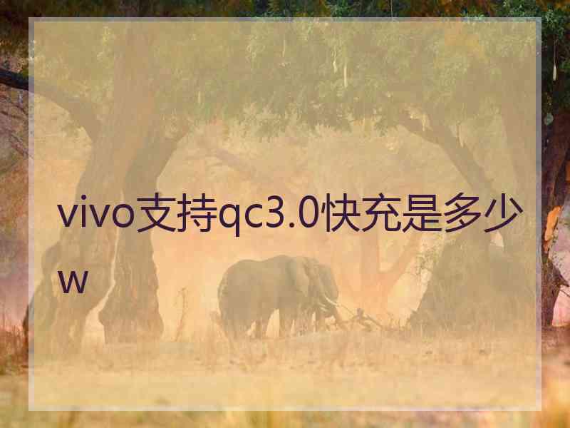 vivo支持qc3.0快充是多少w