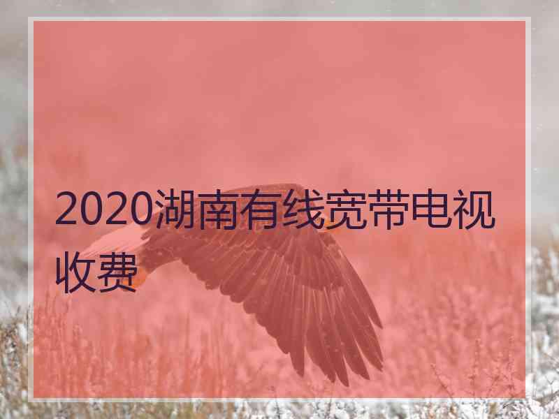 2020湖南有线宽带电视收费