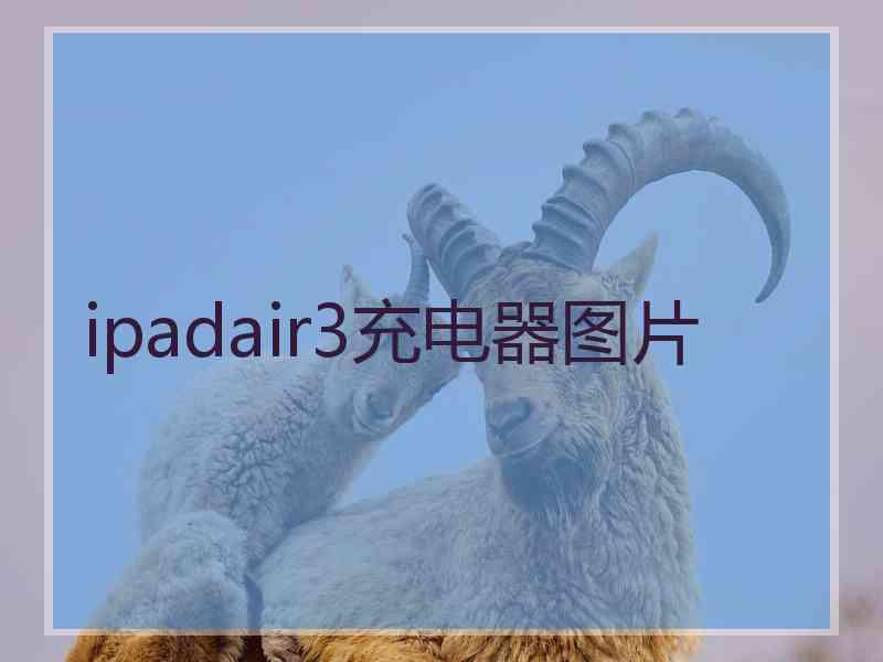 ipadair3充电器图片