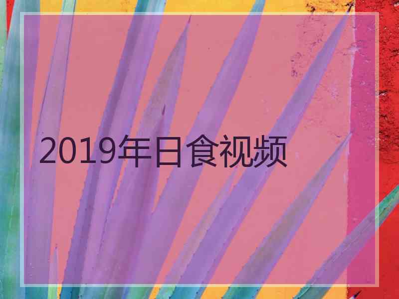 2019年日食视频