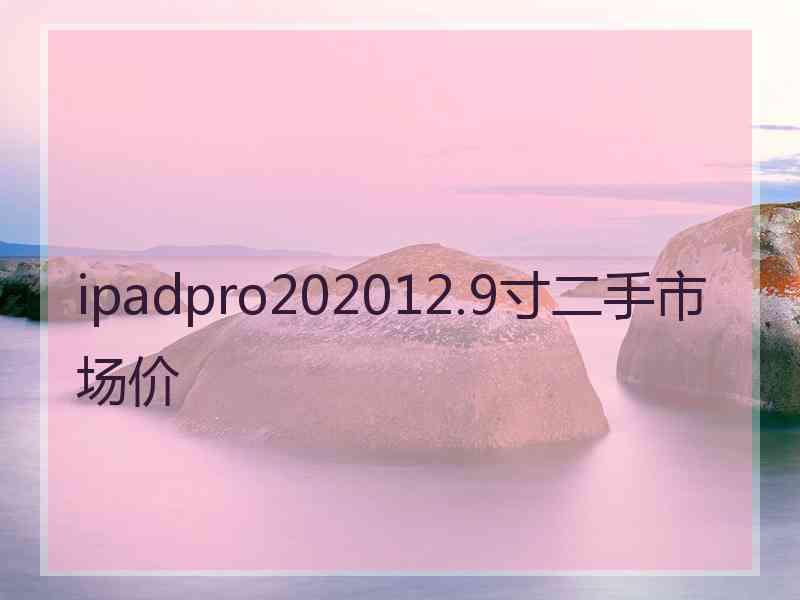 ipadpro202012.9寸二手市场价