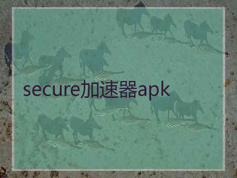 secure加速器apk