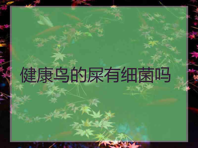 健康鸟的屎有细菌吗