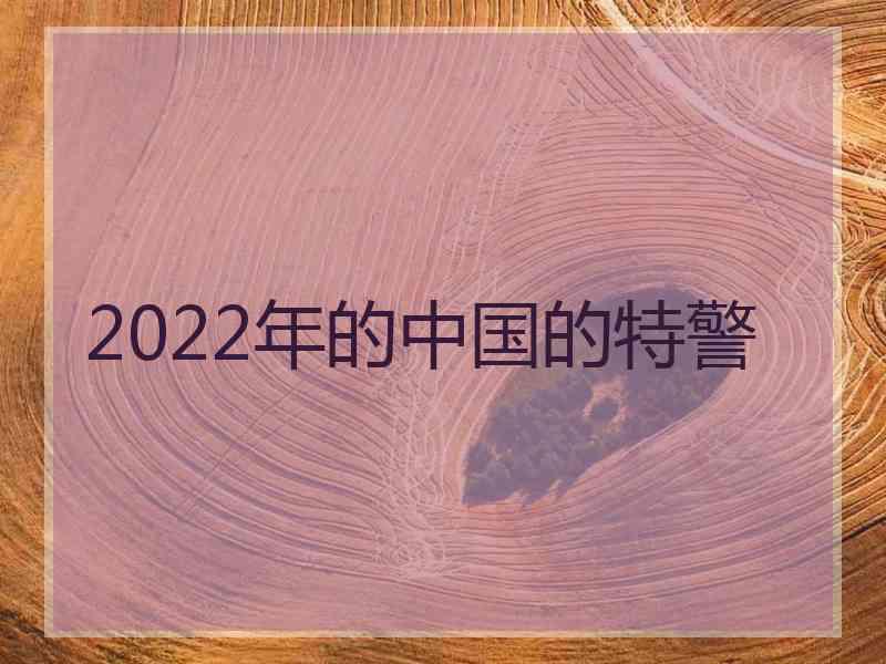 2022年的中国的特警