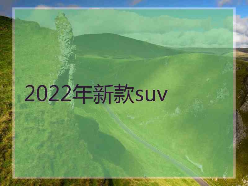 2022年新款suv