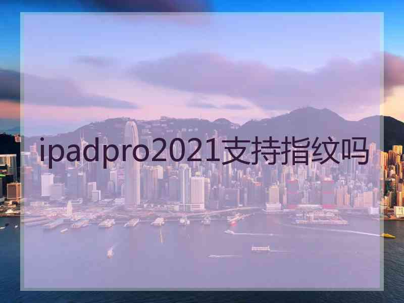 ipadpro2021支持指纹吗