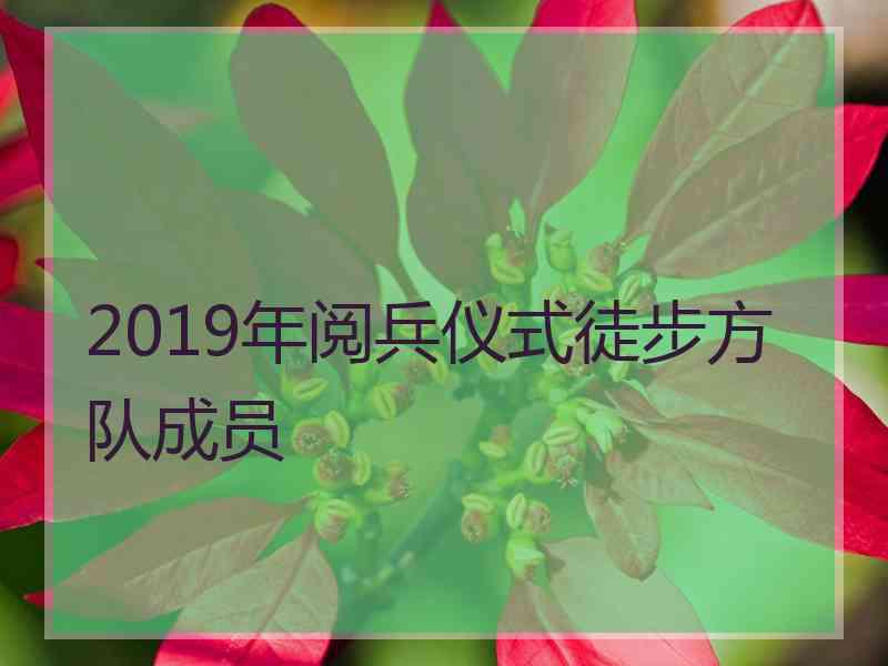 2019年阅兵仪式徒步方队成员