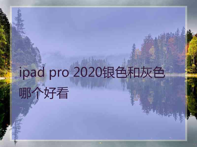 ipad pro 2020银色和灰色哪个好看