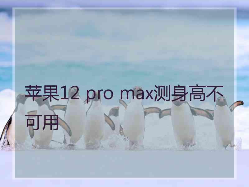 苹果12 pro max测身高不可用