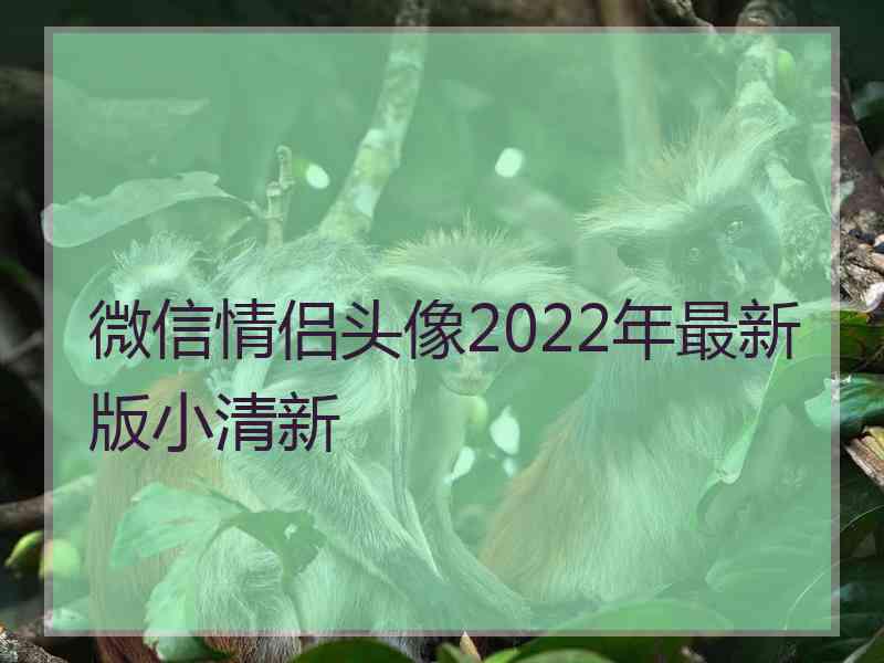 微信情侣头像2022年最新版小清新