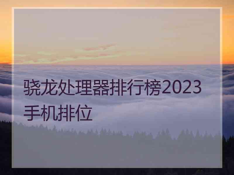 骁龙处理器排行榜2023手机排位