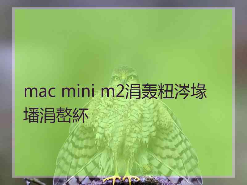 mac mini m2涓轰粈涔堟墦涓嶅紑