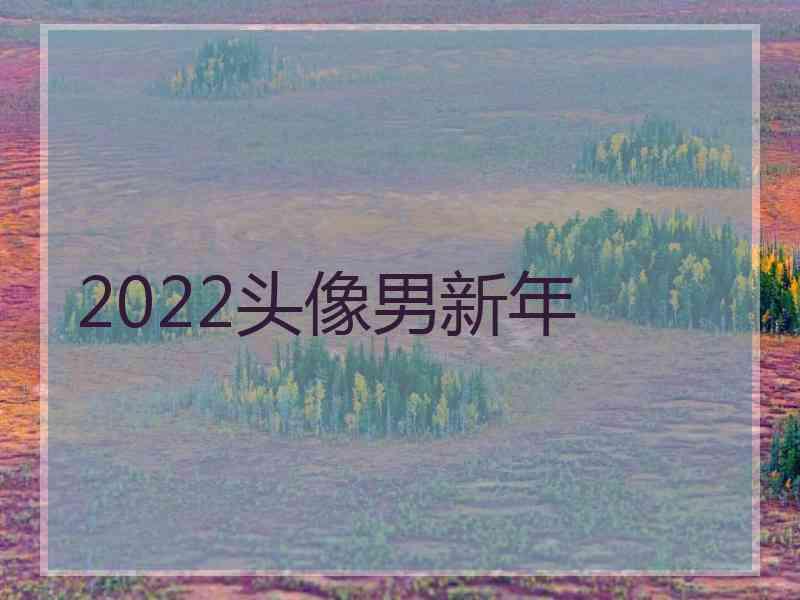 2022头像男新年