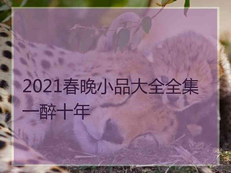 2021春晚小品大全全集一醉十年