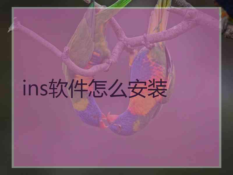 ins软件怎么安装