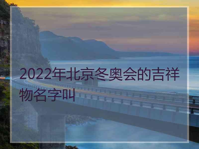 2022年北京冬奥会的吉祥物名字叫