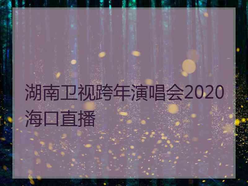 湖南卫视跨年演唱会2020海口直播