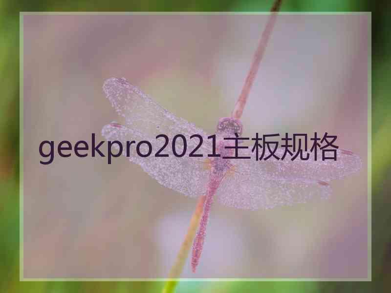 geekpro2021主板规格