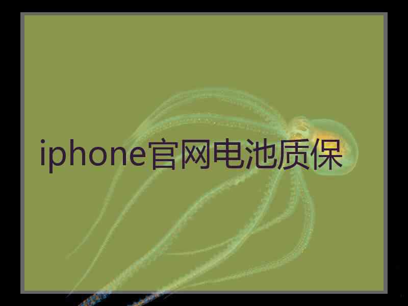 iphone官网电池质保