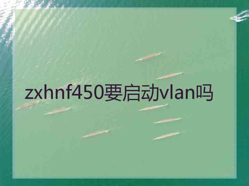 zxhnf450要启动vlan吗