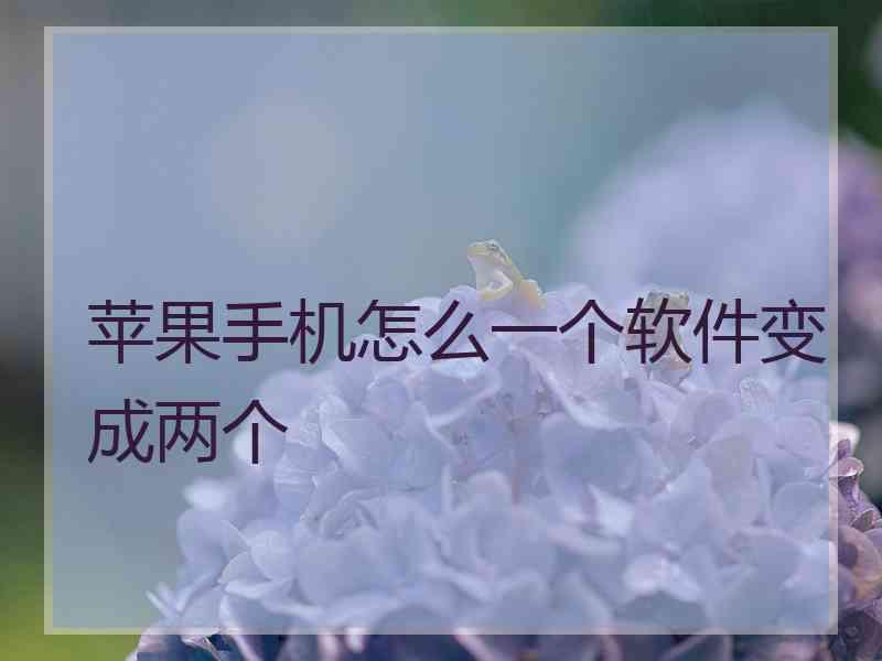 苹果手机怎么一个软件变成两个