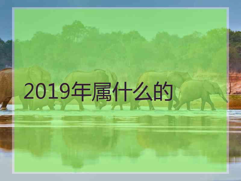 2019年属什么的