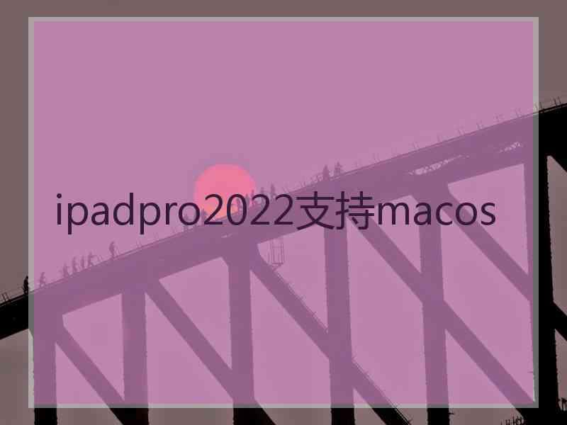 ipadpro2022支持macos