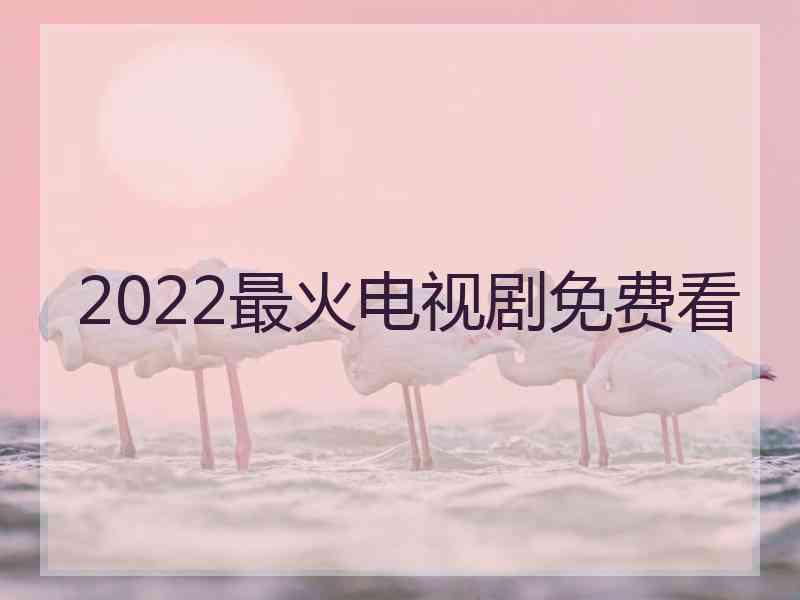 2022最火电视剧免费看