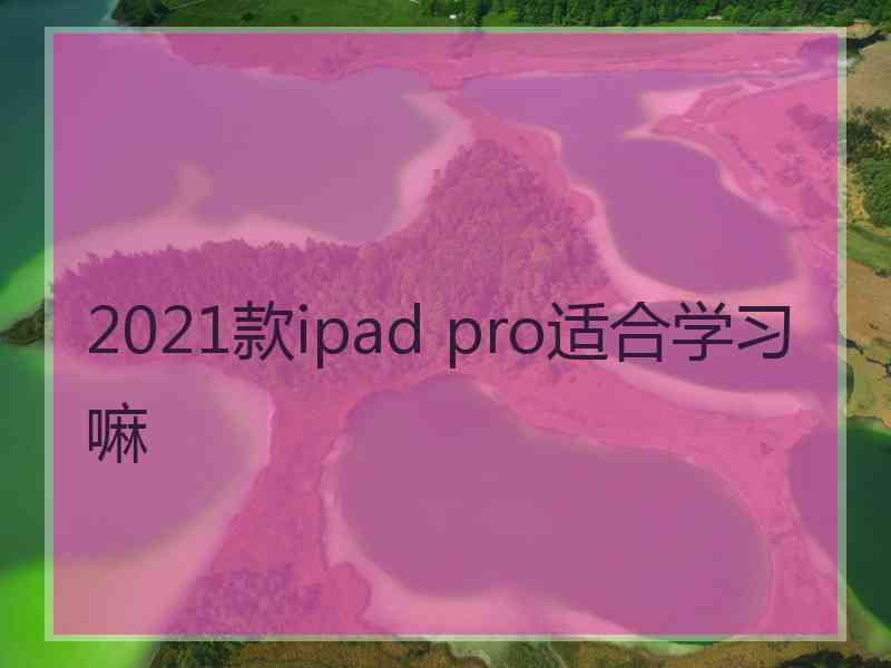 2021款ipad pro适合学习嘛