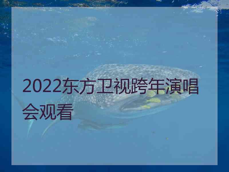 2022东方卫视跨年演唱会观看