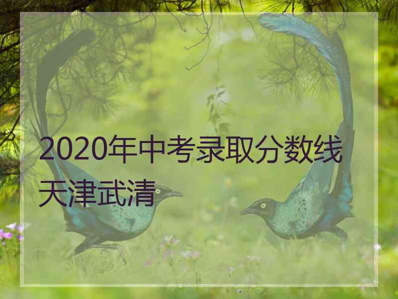 2020年中考录取分数线天津武清