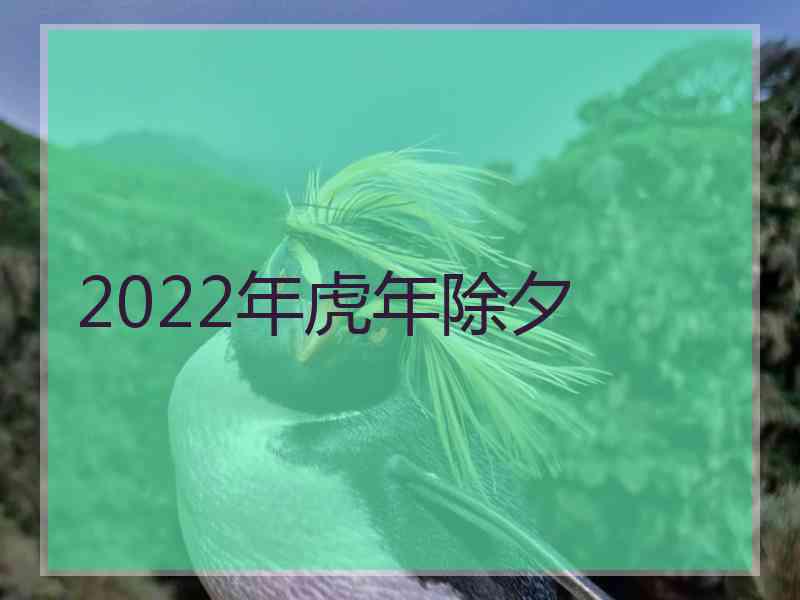 2022年虎年除夕