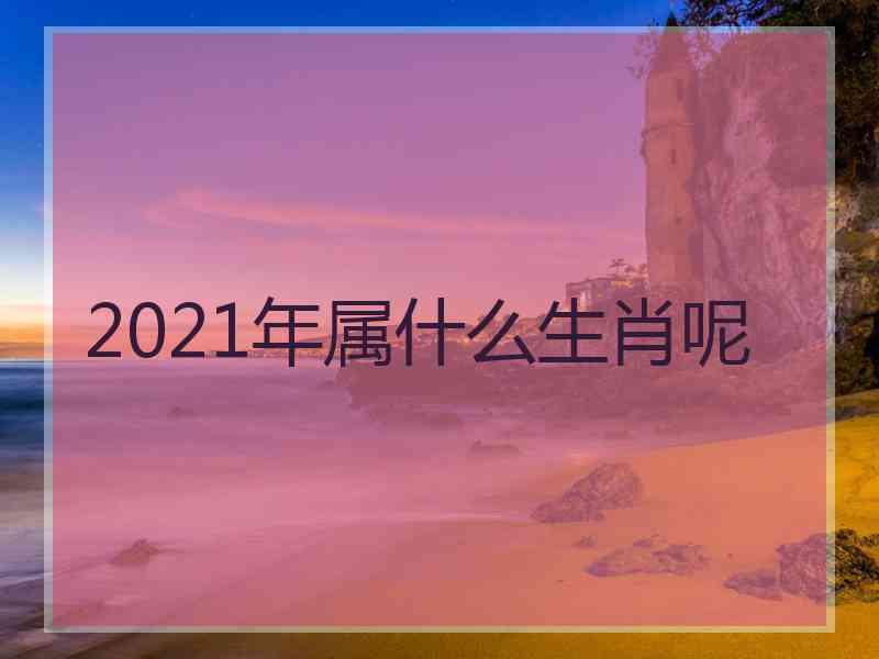 2021年属什么生肖呢