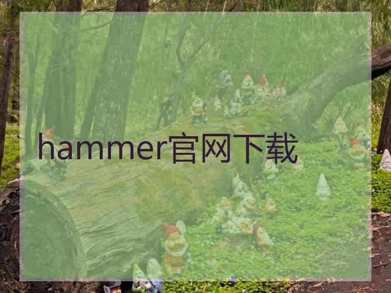 hammer官网下载